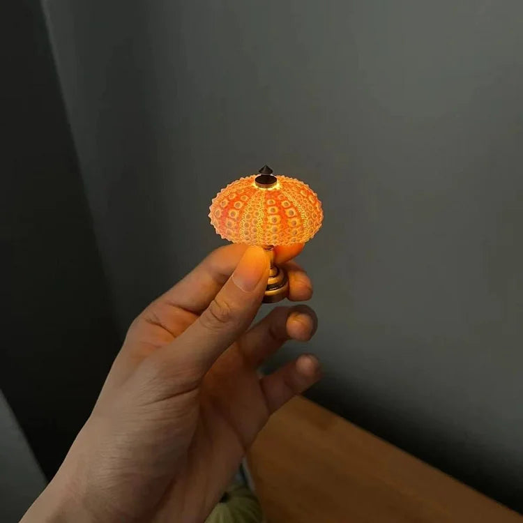 AquaGlow – DIY Zee-egel Nachtlampje