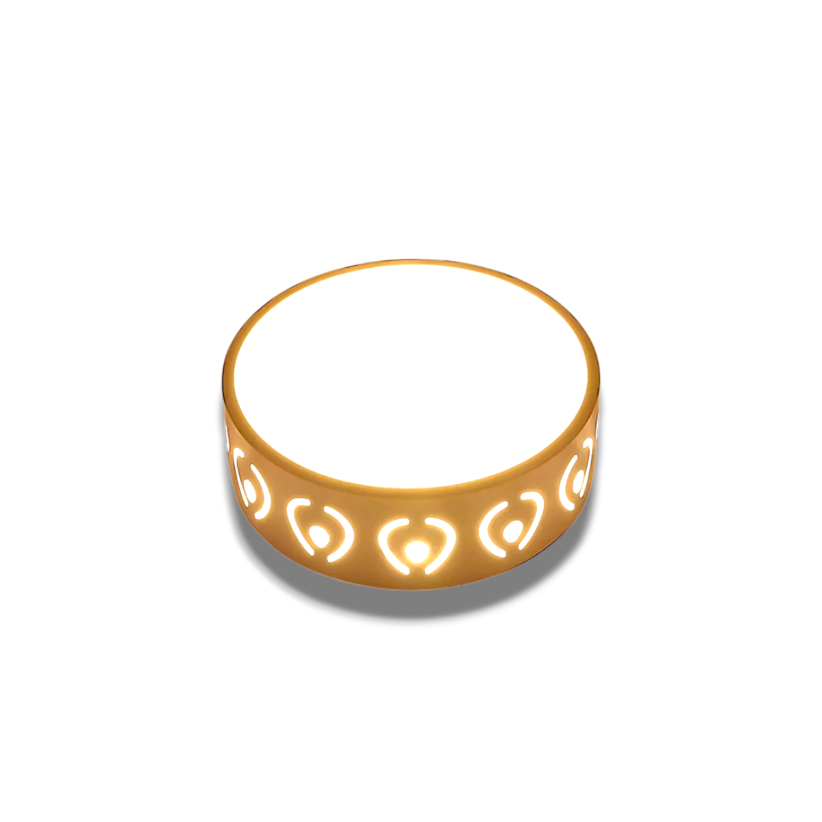 Lunoval – Moderne LED Plafondlamp (Slank Rond Design, Energiezuinig)
