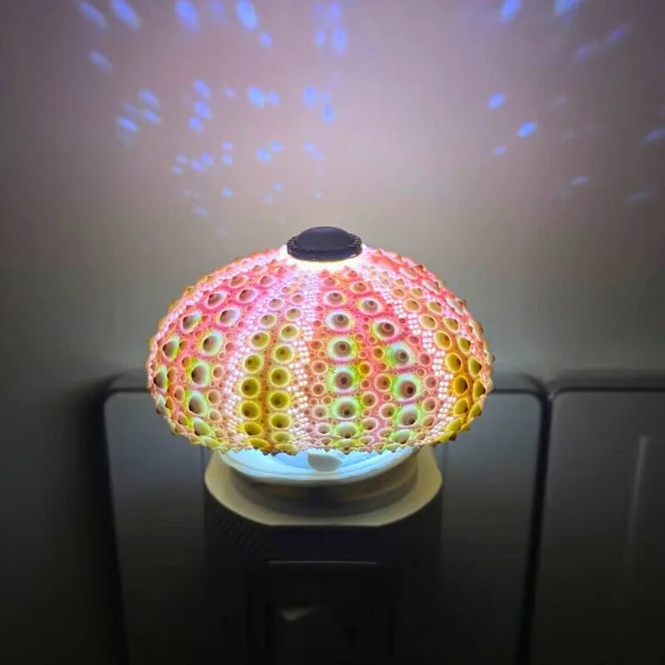 AquaGlow – DIY Zee-egel Nachtlampje