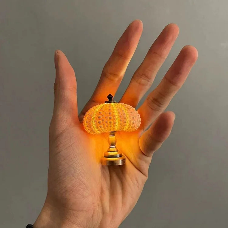AquaGlow – DIY Zee-egel Nachtlampje