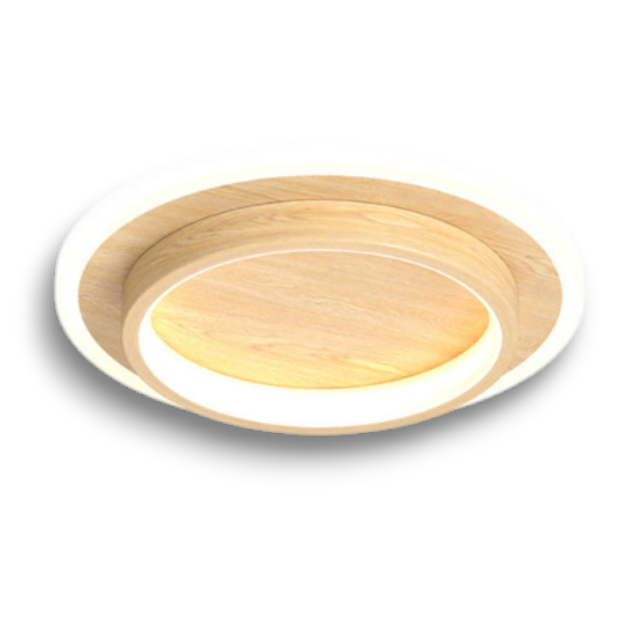 Homedra – Moderne Ronde LED Plafondlamp Met Duurzaam Metaal En Acryl Ontwerp