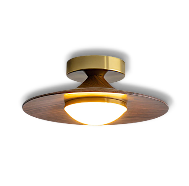 Illuvia - Strakke Plafondlamp Met Metalen Frame - Ronde Vorm