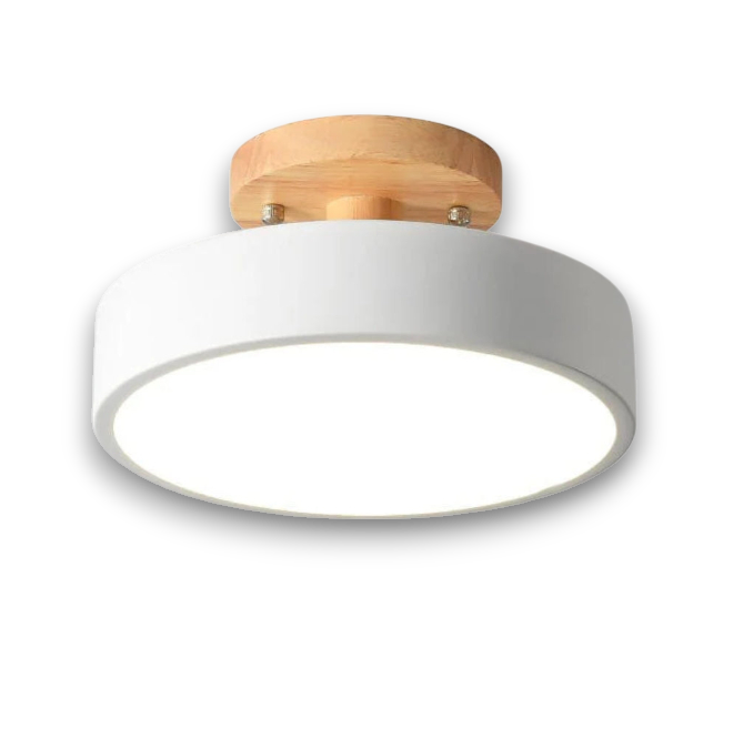 Skyvera - Nordische LED Plafondlamp met Matte Kap en Halfinbouwdesign