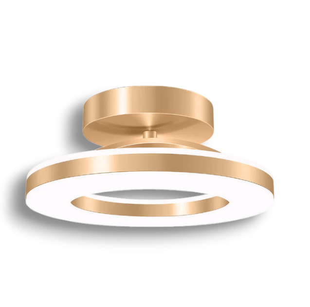 Framora - Moderne Ronde IJzeren LED Plafondlamp Voor Stijlvolle Gangen