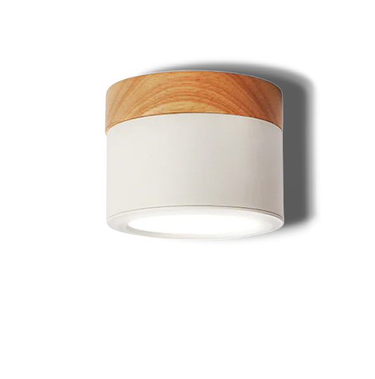 Cylora – Moderne LED Cilinder Plafondlamp met Strak Flush Mount Ontwerp