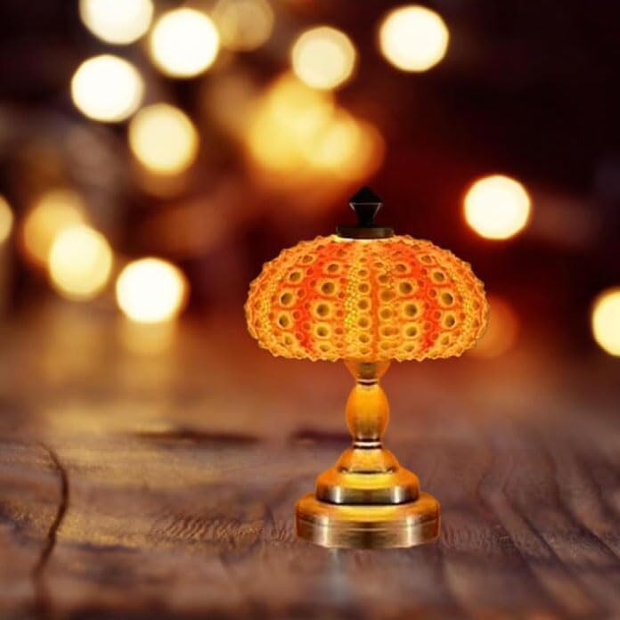 AquaGlow – DIY Zee-egel Nachtlampje