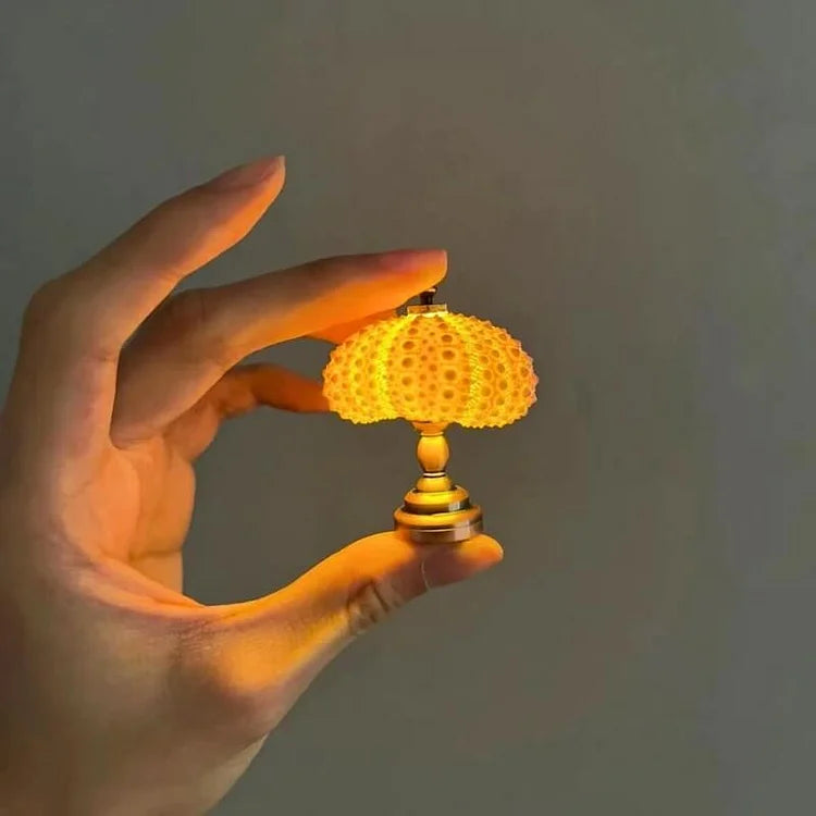 AquaGlow – DIY Zee-egel Nachtlampje