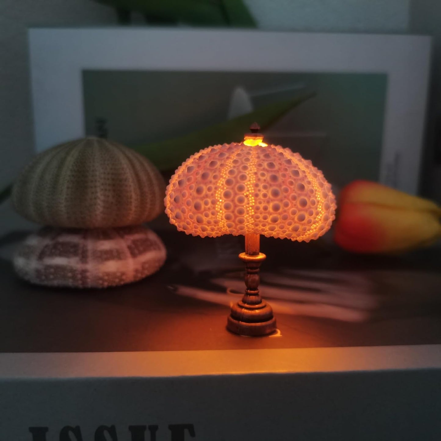 AquaGlow – DIY Zee-egel Nachtlampje