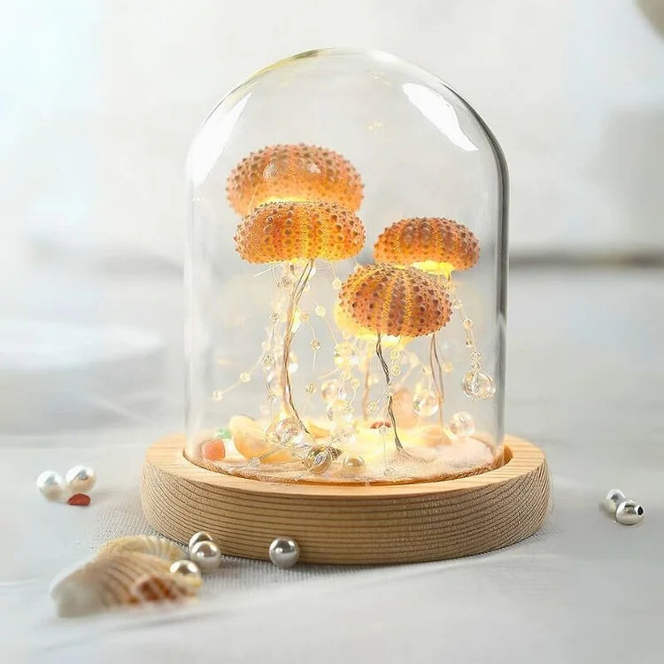 AquaGlow – DIY Zee-egel Nachtlampje