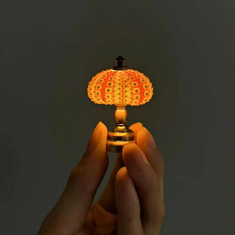 AquaGlow – DIY Zee-egel Nachtlampje