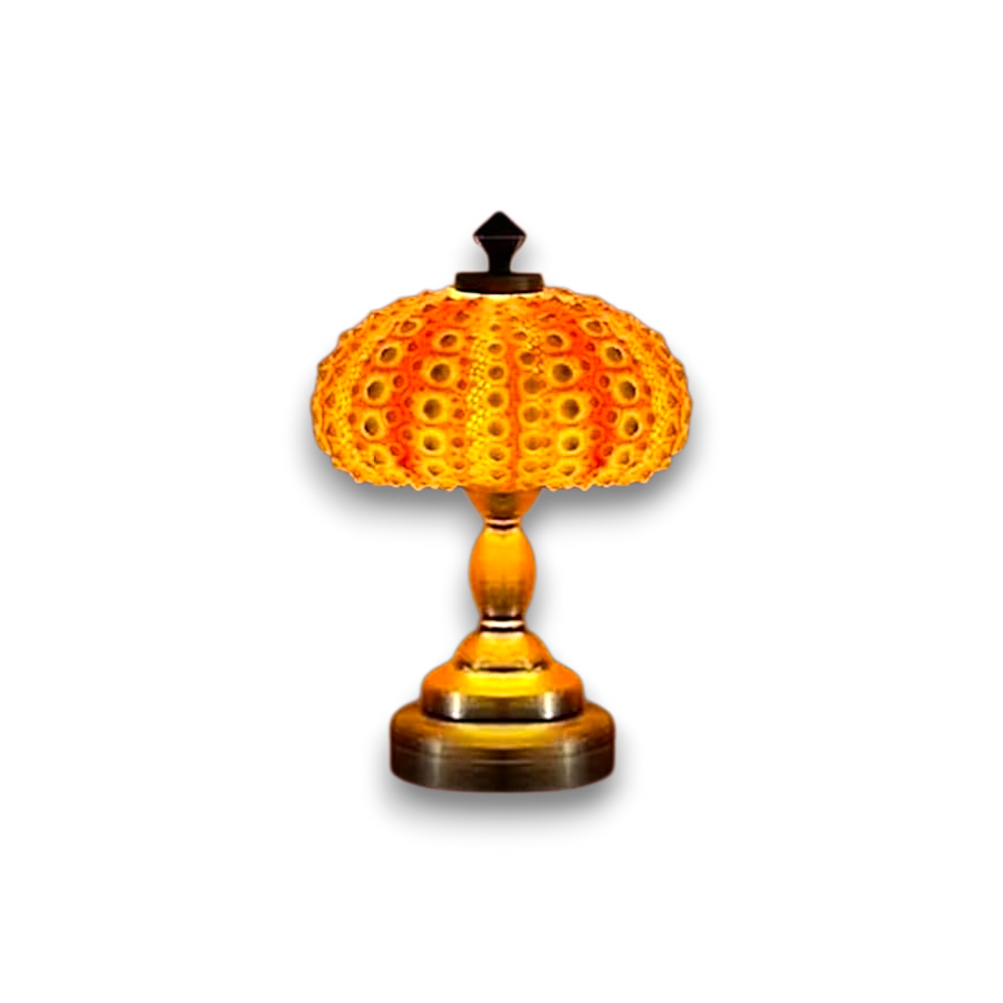 AquaGlow – DIY Zee-egel Nachtlampje