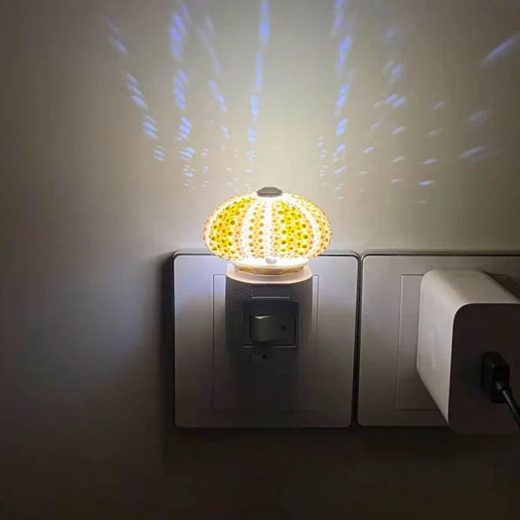 AquaGlow – DIY Zee-egel Nachtlampje