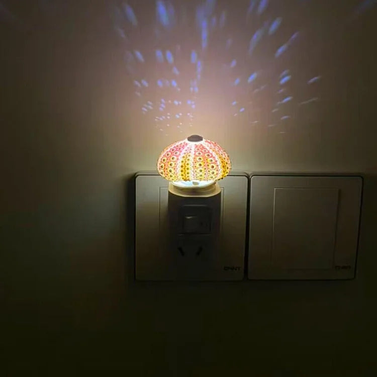 AquaGlow – DIY Zee-egel Nachtlampje