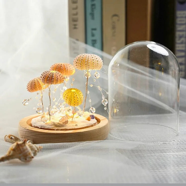 AquaGlow – DIY Zee-egel Nachtlampje