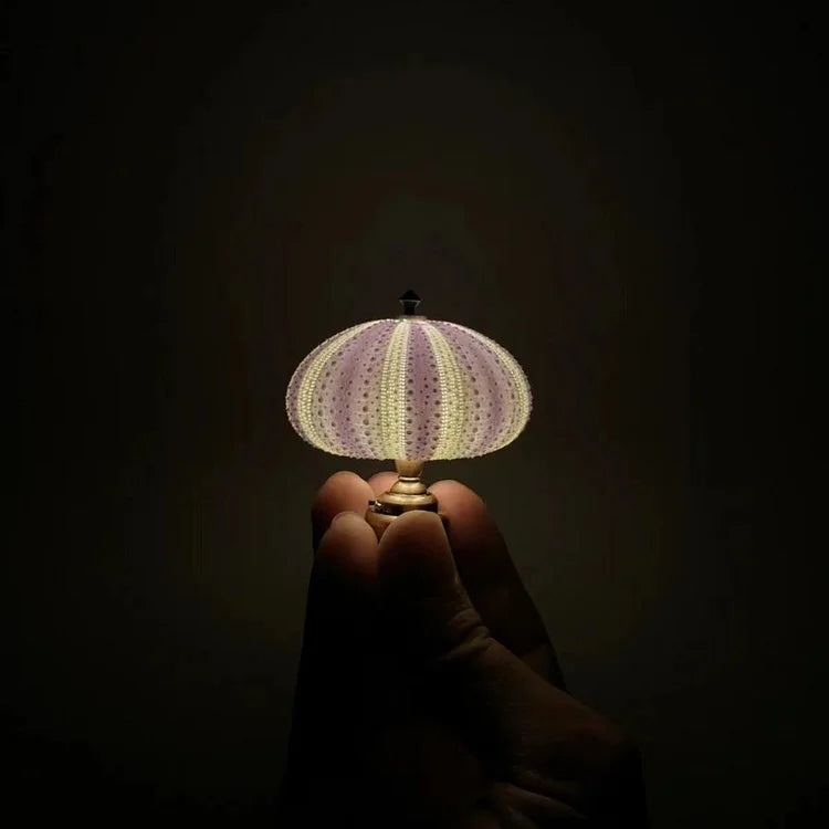 AquaGlow – DIY Zee-egel Nachtlampje