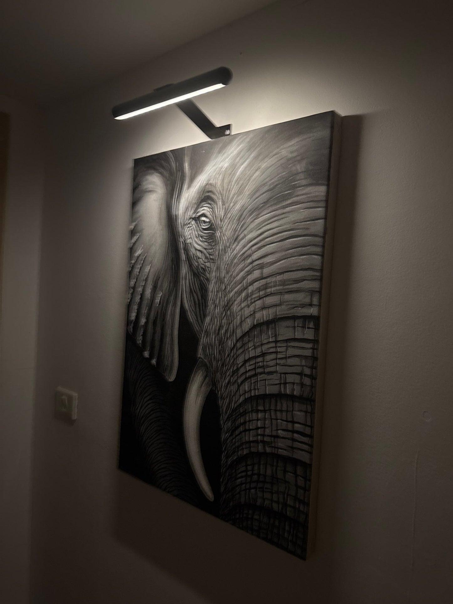Lumora – LED Wandlamp voor Kunst en Decoratie