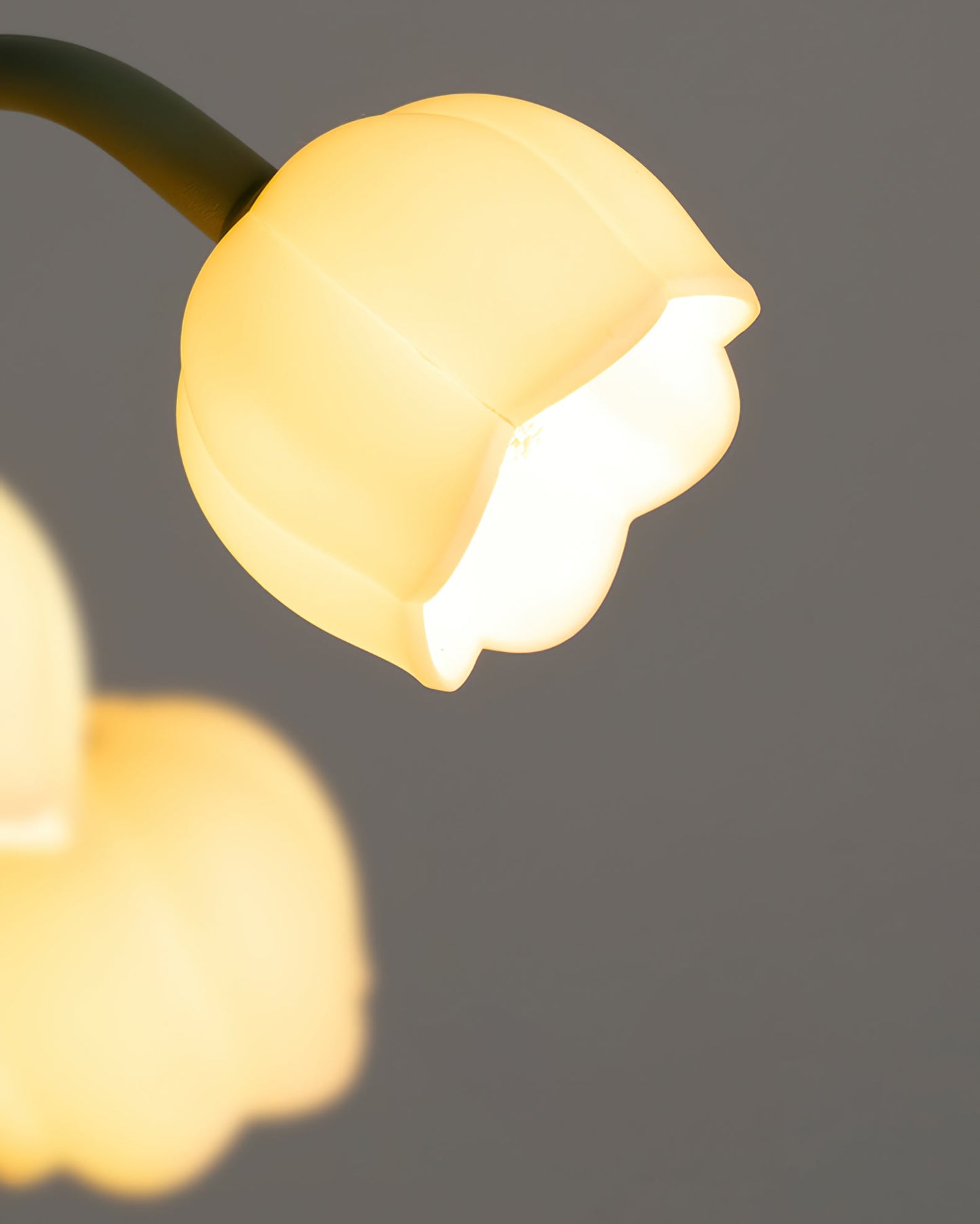 Rayora - Eigentijdse Bell Orchid Lamp Met Warm Gloeiend Licht