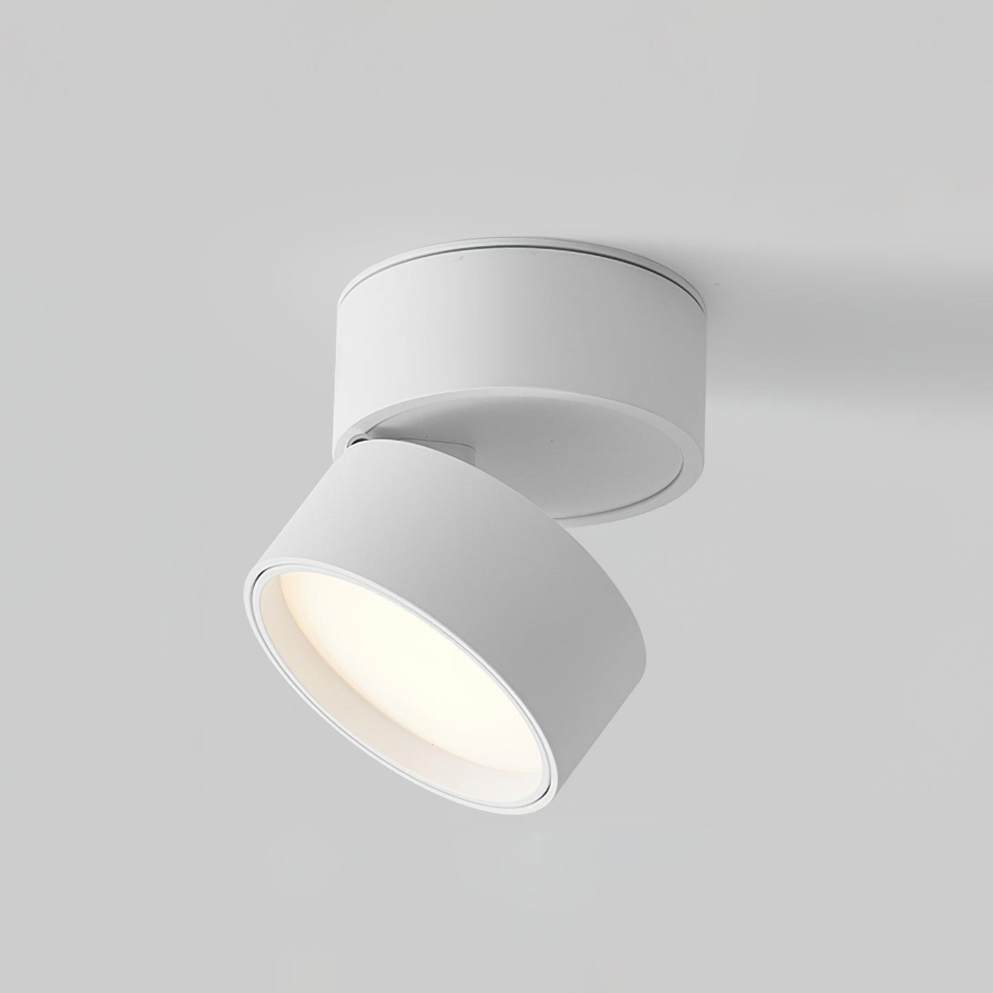 Favilla – Moderne Verstelbare Plafondlamp