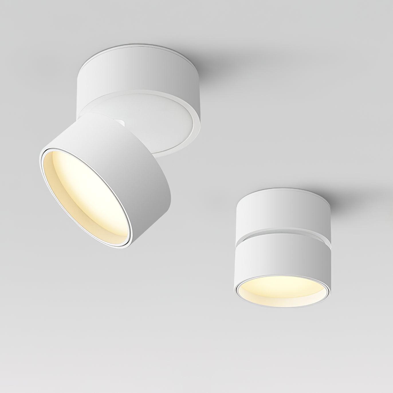 Favilla – Moderne Verstelbare Plafondlamp