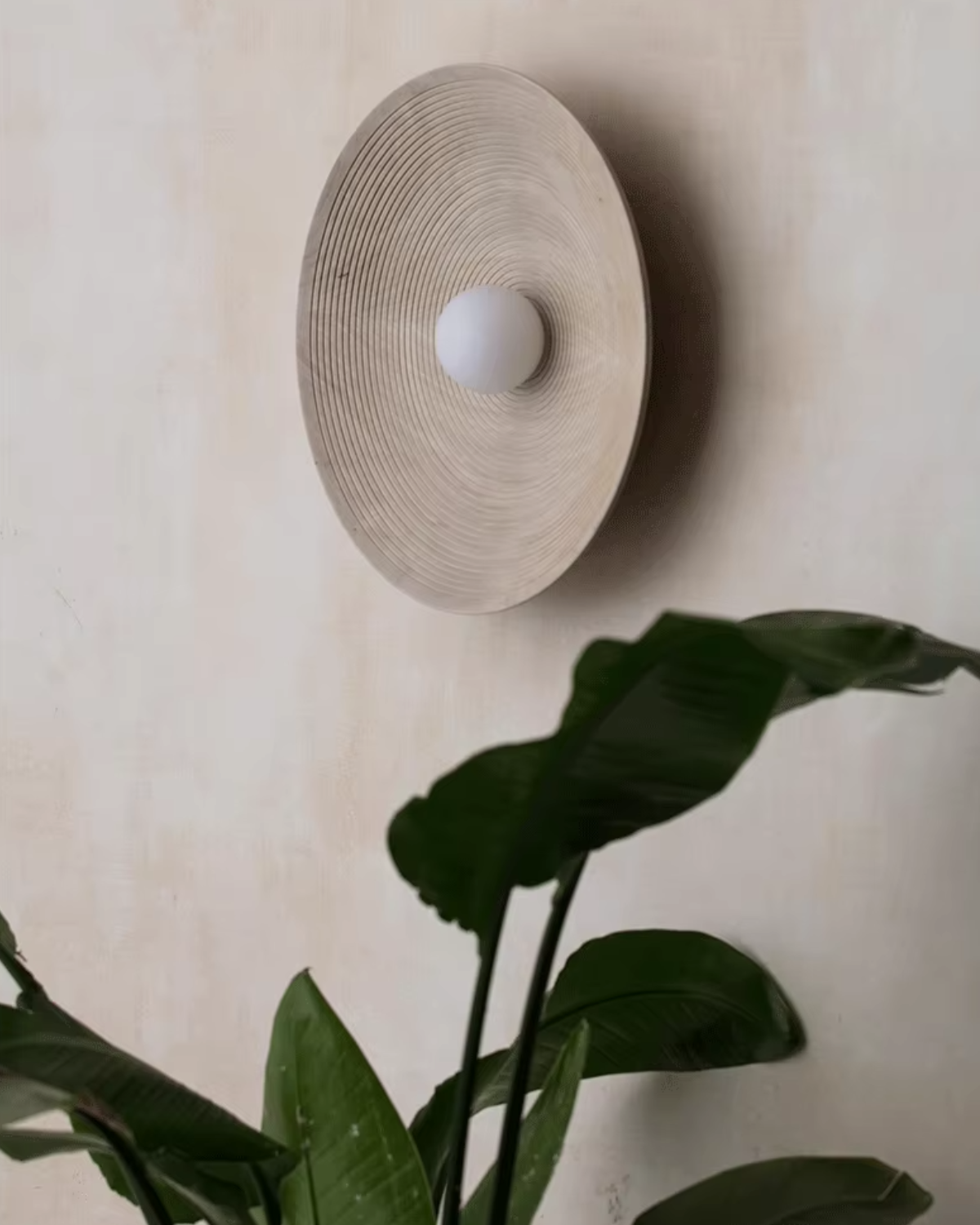 Sanda – Natuur-Inspiratie Wandlamp van Hars