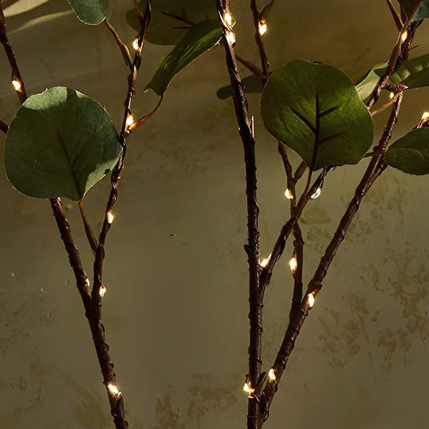 Fairy – LED Olijftak Lichtdecoratie