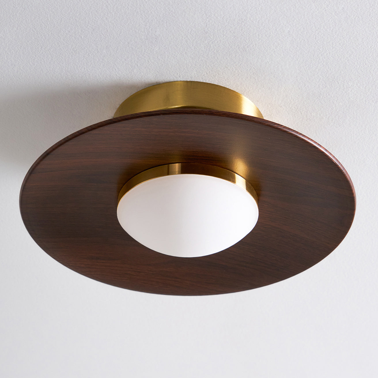 Illuvia - Strakke Plafondlamp Met Metalen Frame - Ronde Vorm