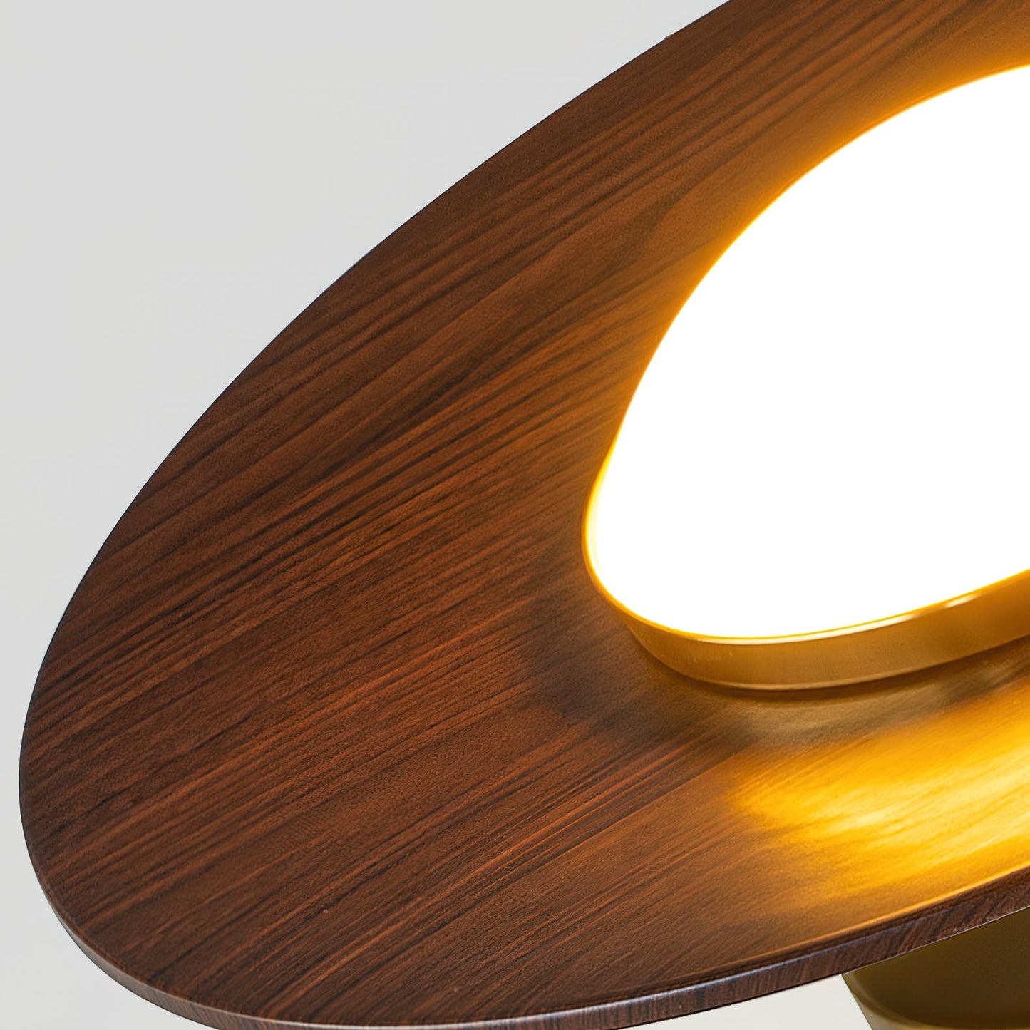 Illuvia - Strakke Plafondlamp Met Metalen Frame - Ronde Vorm
