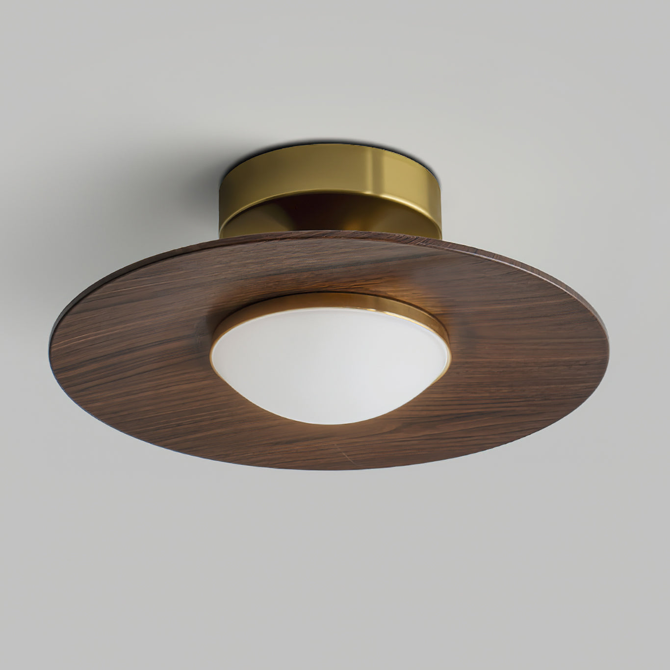 Illuvia - Strakke Plafondlamp Met Metalen Frame - Ronde Vorm
