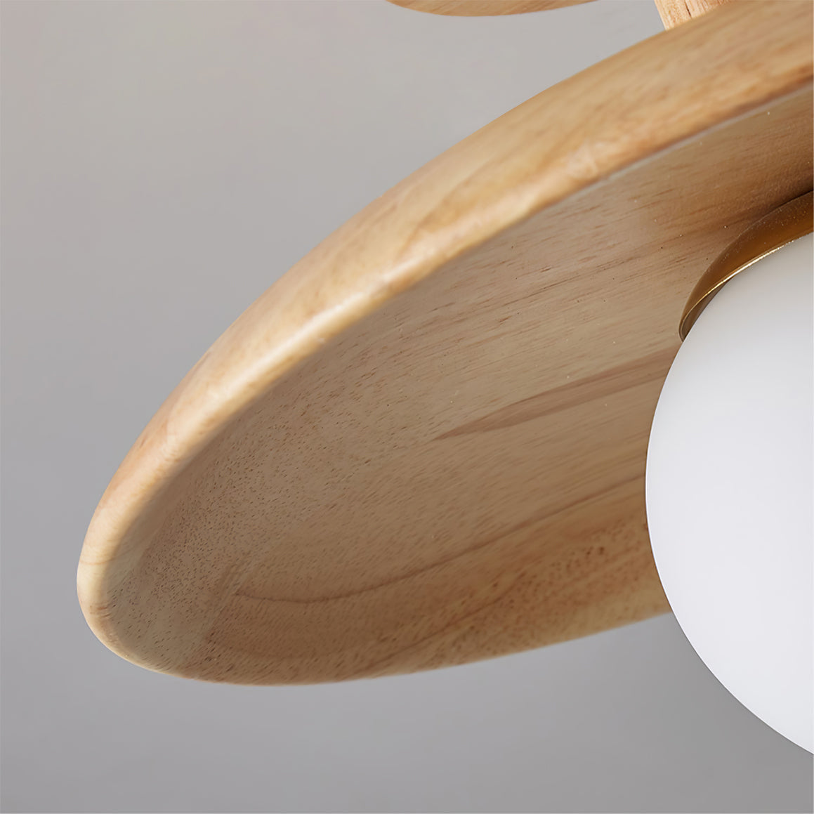Rayvia - Elegante Plafon Plafondlamp Met Zachte Sfeerverlichting