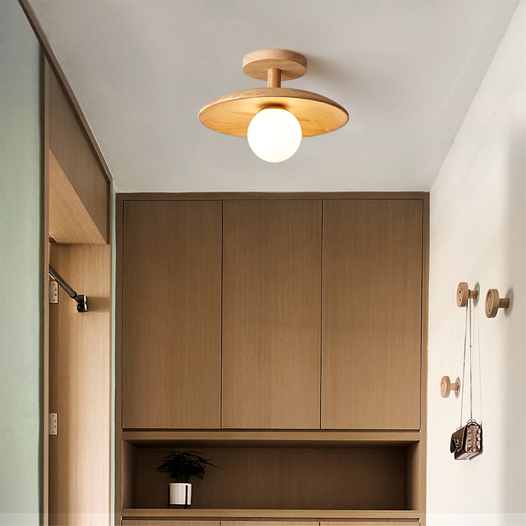 Rayvia - Elegante Plafon Plafondlamp Met Zachte Sfeerverlichting