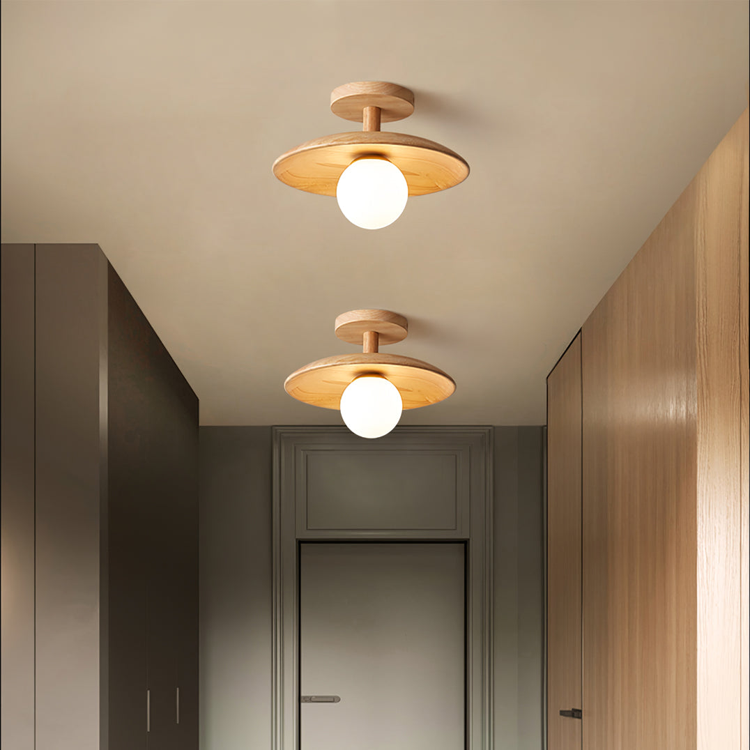 Rayvia - Elegante Plafon Plafondlamp Met Zachte Sfeerverlichting