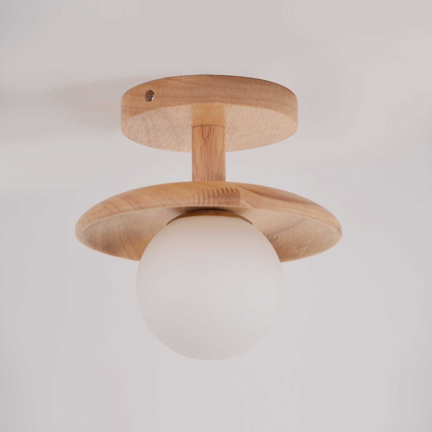 Rayvia - Elegante Plafon Plafondlamp Met Zachte Sfeerverlichting
