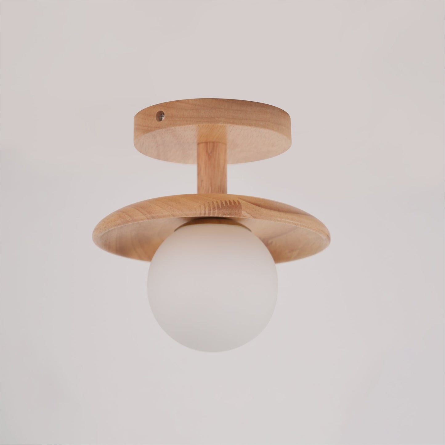 Rayvia - Elegante Plafon Plafondlamp Met Zachte Sfeerverlichting