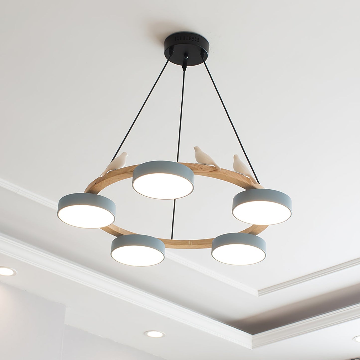 Radiancea - Elegante Ronde Vogelkroonluchter Met Warme Sfeerverlichting