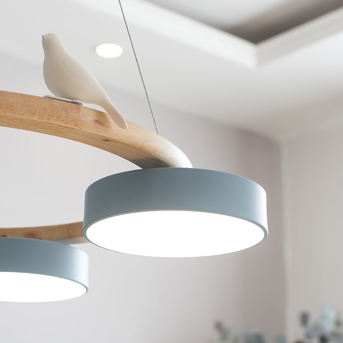 Radiancea - Elegante Ronde Vogelkroonluchter Met Warme Sfeerverlichting