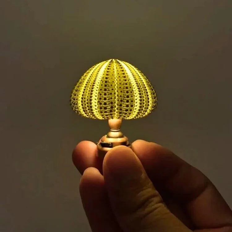 AquaGlow – DIY Zee-egel Nachtlampje