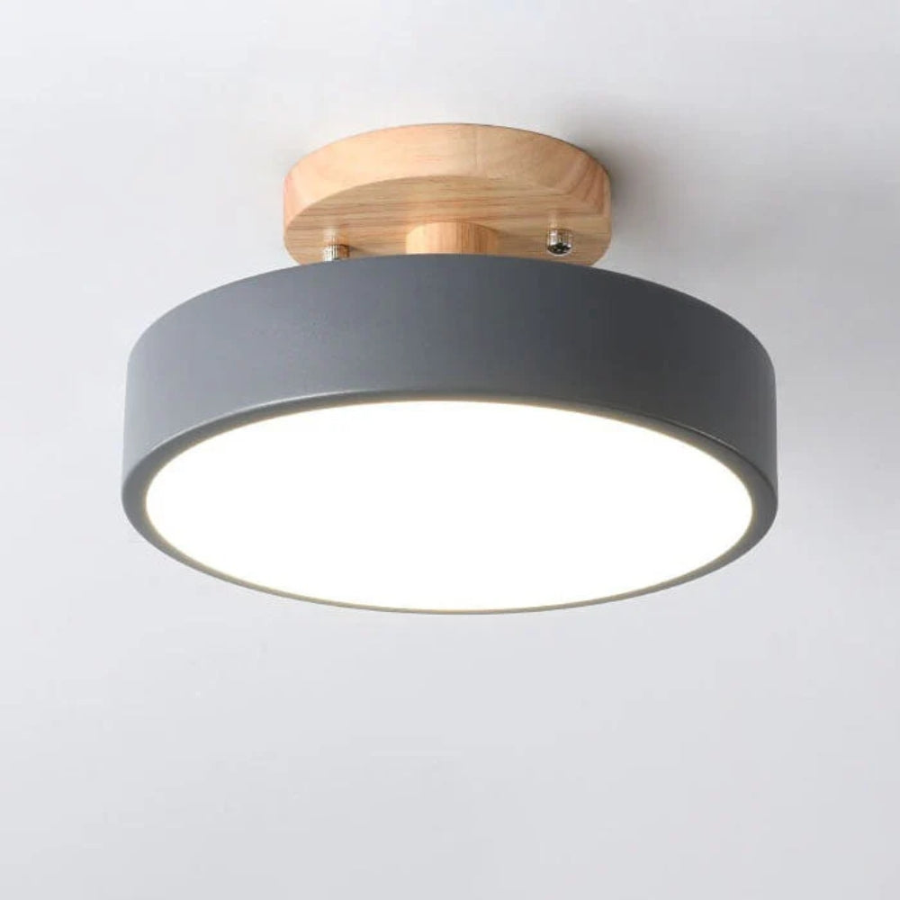 Skyvera - Nordische LED Plafondlamp met Matte Kap en Halfinbouwdesign