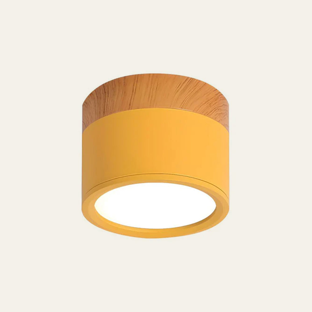 Cylora – Moderne LED Cilinder Plafondlamp met Strak Flush Mount Ontwerp