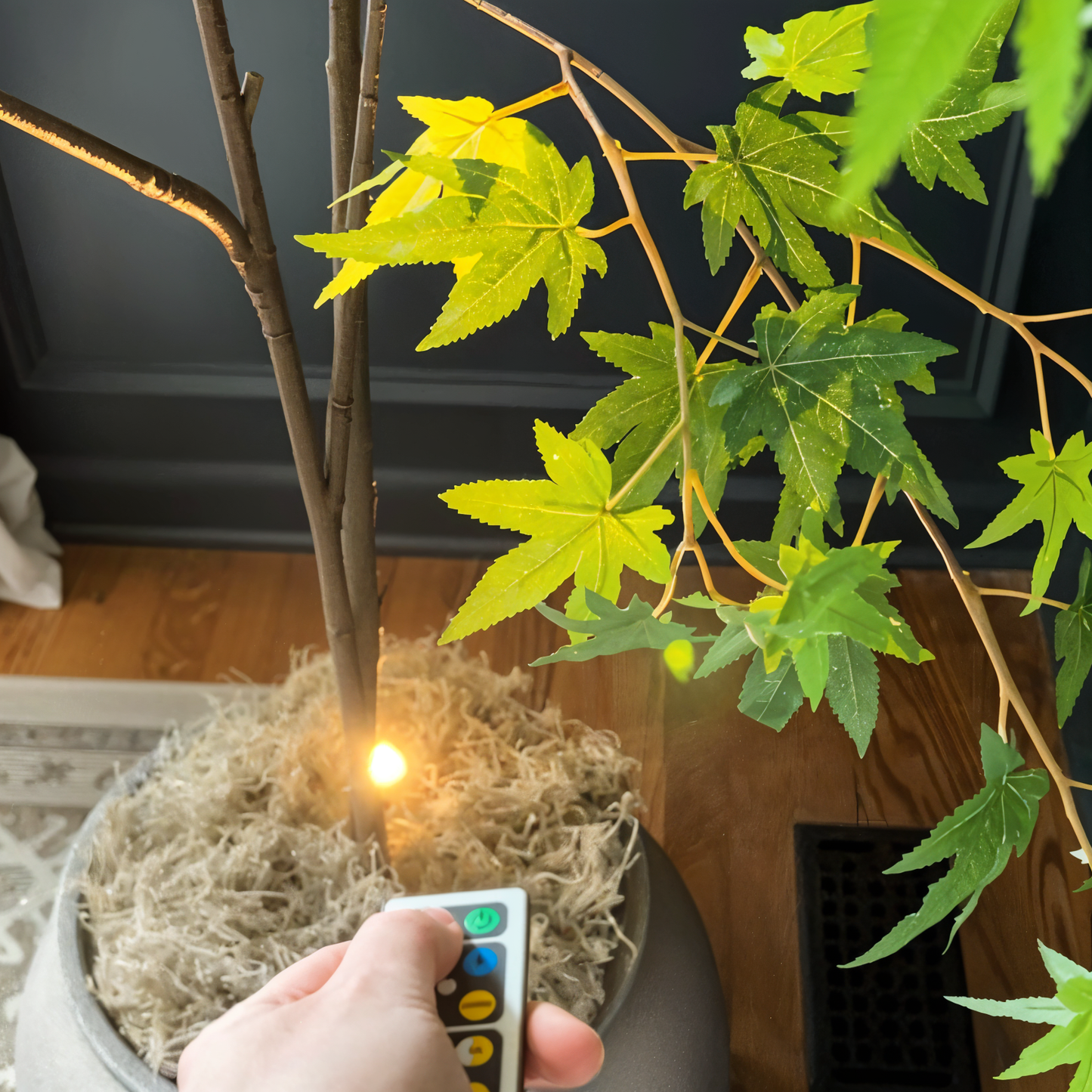 Auri – Draadloze LED-spotlight (Dimbare Accentverlichting, Afstandsbediening)