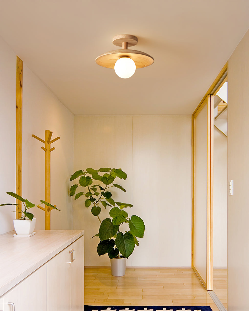 Rayvia - Elegante Plafon Plafondlamp Met Zachte Sfeerverlichting