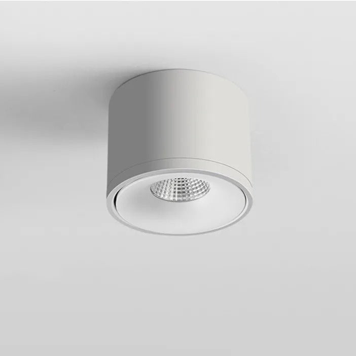 Nestoria - Compacte Surface Mounted Downlight Met Dimbare Lichtfunctie